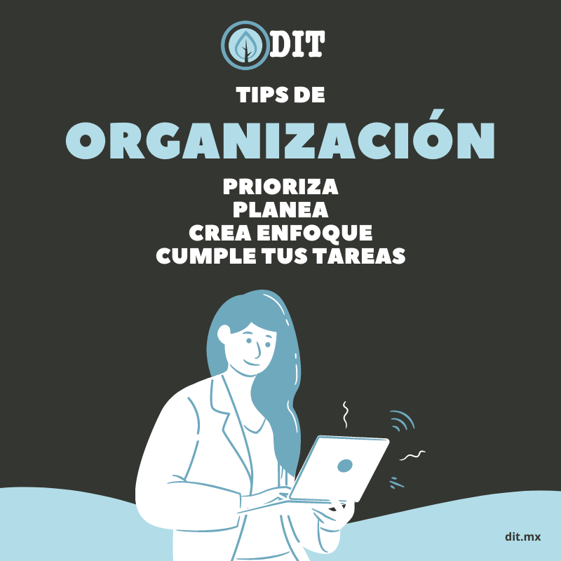 Tips para mejorar tu organización